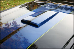 IMG_5525.jpg